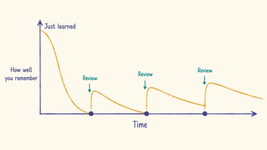 Forgetting curve diagram showing memory dropping after first learning, then dropping more slowly after each successful review.