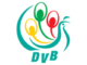 DVB TV
